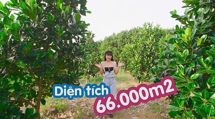 tra ngoc hang gian di dao choi khu vuon 15 ty rong 66000m2 tai dong nai