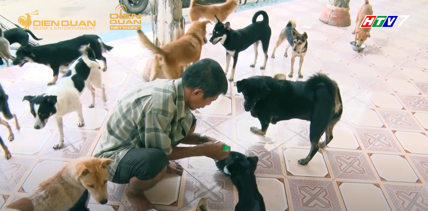 'Hát mãi ước mơ': Ngọc Sơn, Võ Hạ Trâm ngưỡng mộ tinh thần lạc quan của người đàn ông vô gia cư một mình nuôi 30 chú chó