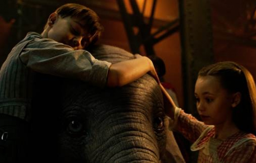'Chú voi biết bay': Điểm danh 4 phim về loài vật cực đáng yêu và tình cảm