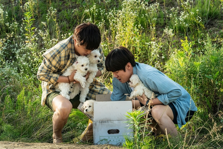 'Tìm nhà cho 'Boss' - Một bộ phim chữa lành xứ Hàn không thể bỏ lỡ