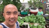 Quốc Thuận khoe vườn rau sạch tại gia