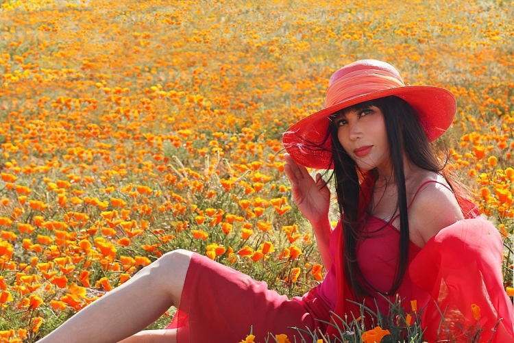 Nhật Hạ thả dáng trên cánh đồng hoa Poppy trong MV mới 'Để còn em với ngày vui'