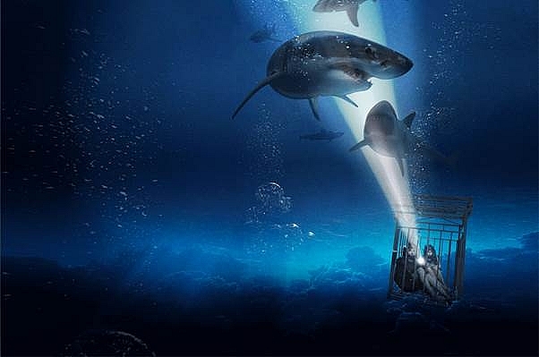 5 phim về 'Hung thần đại dương' tạo nguồn cảm hứng bất tận cho các tác phẩm điện ảnh