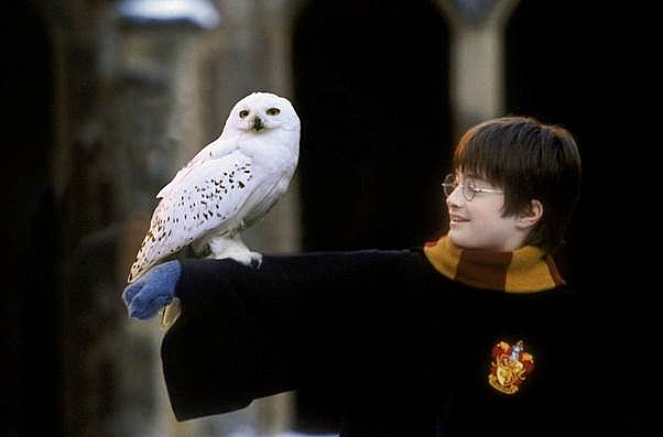 Giải mã sức hút thương hiệu 'Harry Potter' qua 2 thập kỷ: Vượt khỏi khuôn khổ dành cho thiếu nhi, kiến tạo văn hóa hâm mộ mới