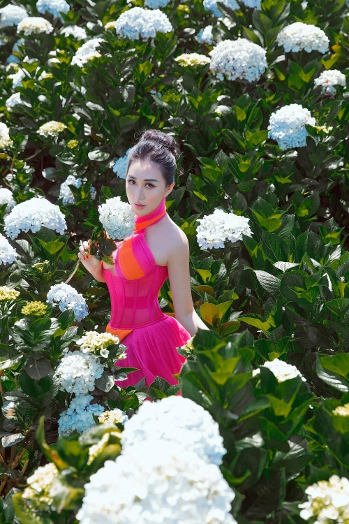 Hoa hậu Huỳnh Thúy Anh tựa nàng thơ quyến rũ giữa vườn địa đàng hoa cẩm tú cầu