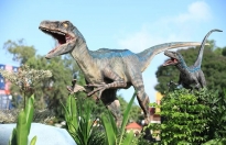 Bất ngờ lần đầu tiên khủng long xuất hiện trên sông Sài Gòn