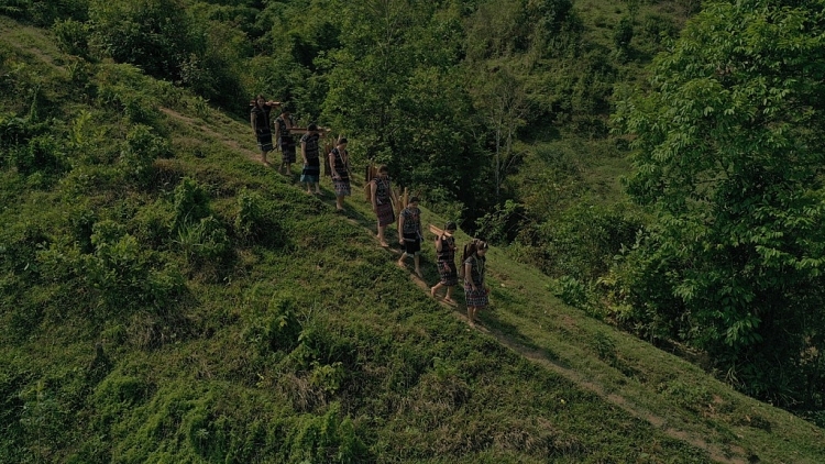 Phim tài liệu 'Mẹ rừng' và hành trình bảo vệ nguồn sống