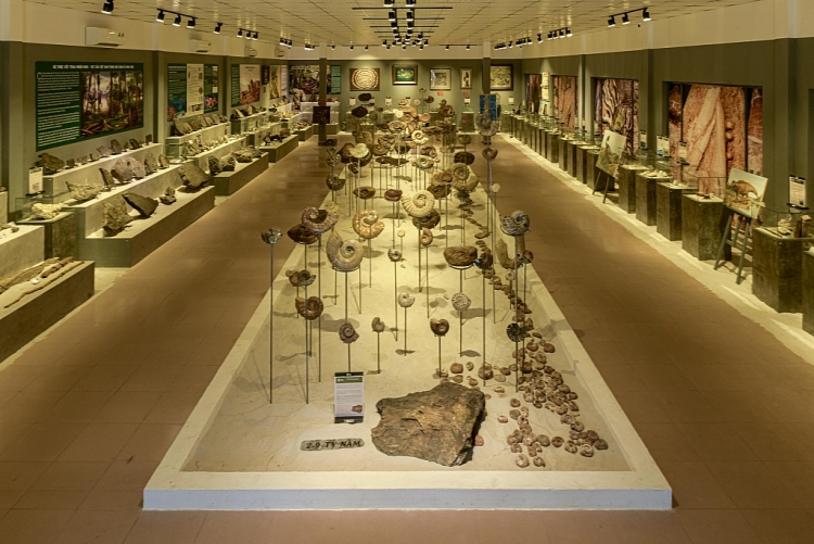 Không gian triển lãm Hóa thạch đầu tiên tại Huế