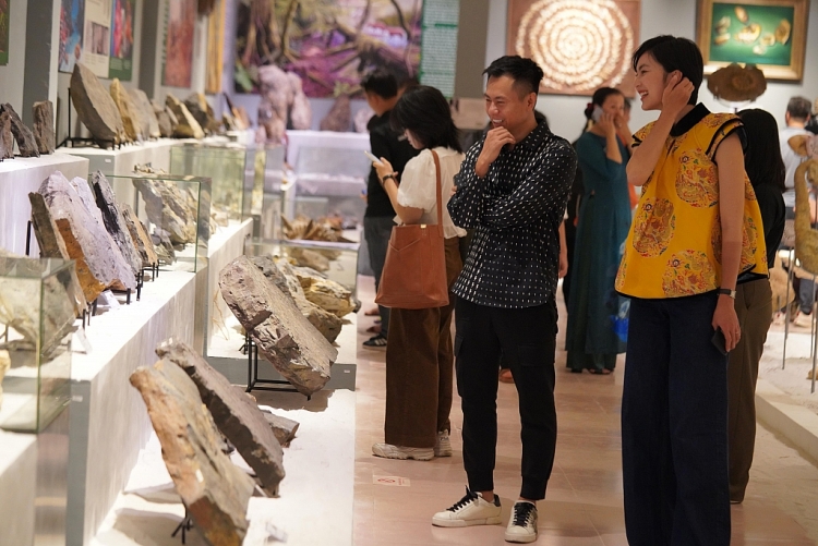 Hồng Nhung, Hiền Thục, Dương Cầm, Helly Tống cùng nhiều nghệ sĩ lan tỏa giá trị của Cổ sinh tại triển lãm Hóa thạch