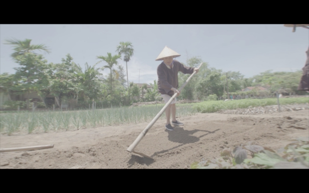 Quang Vinh bỏ chốn phồn hoa về Hội An làm nông dân trồng rau
