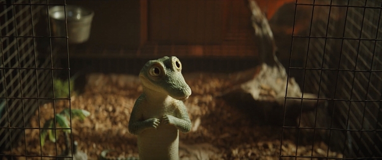 'Lyle, Lyle, Crocodile' hé lộ nội dung hấp dẫn về chàng Cá sấu biết hát do Shawn Mendes thể hiện