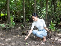 'Miss Earth Vietnam 2020' Thái Thị Hoa lội bùn trồng cây ở rừng ngập mặn Cần Giờ