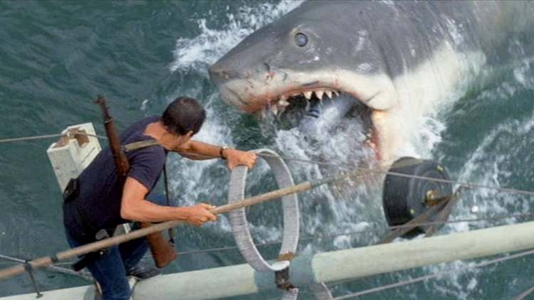 Đối mặt với nỗi sợ biển cả sâu thẳm và hàm cá mập sắc bén trong 'Great white'