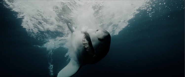 Đối mặt với nỗi sợ biển cả sâu thẳm và hàm cá mập sắc bén trong 'Great white'