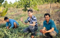 Ca sĩ Ngọc Sơn làm rõ thông tin sai lệch về chuyện sở hữu 50 héc ta đất tại Bình Thuận
