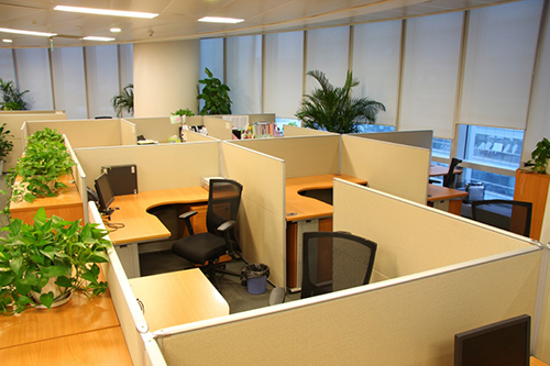 eco-friendly-brown-wooden-cubicles-office-design-overlooking-with-black-chairs-and-small-tree-displays