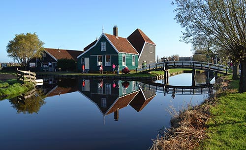zaanse schans ngoi lang hoa thuy tien vang