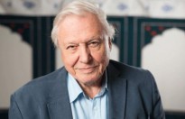 Sir David Attenborough hối tiếc vì không dành nhiều thời gian cho gia đình