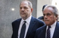 Harvey Weinstein cương quyết không nhận tội cưỡng hiếp