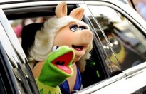 Kermit the Frog có giọng nói mới sau 27 năm… bị nghẹt mũi!
