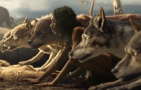 Netflix chiếu rạp giới hạn bộ phim ‘Mowgli’ trước khi phát hành trên mạng