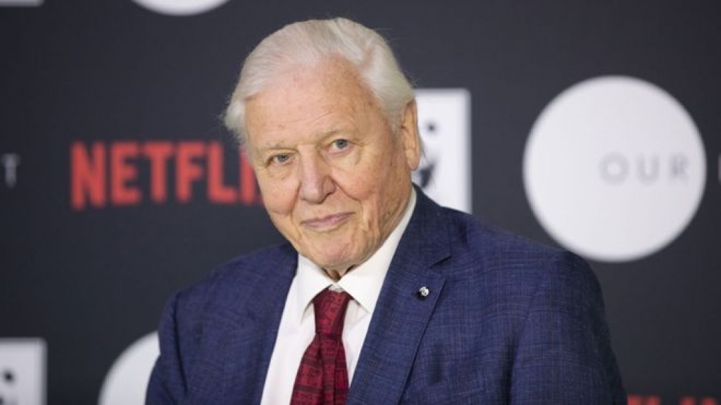 sir david attenborough dan truyen cho bo phim tai lieu our planet tren netflix