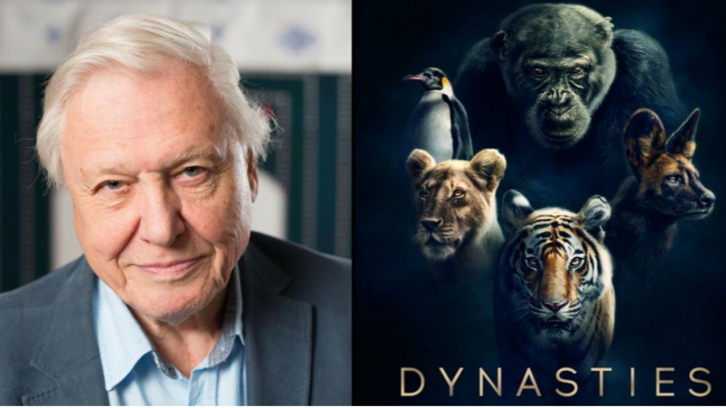sir david attenborough dan truyen cho bo phim tai lieu our planet tren netflix
