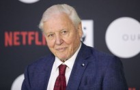 Sir David Attenborough dẫn truyện cho bộ phim tài liệu ‘Our Planet’ trên Netflix