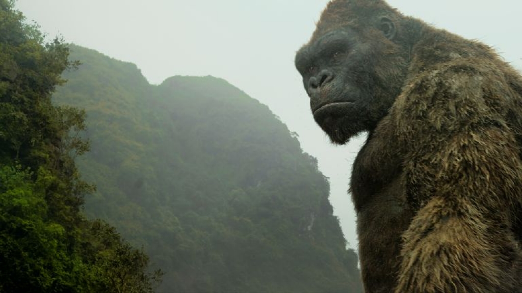 Cảm nhận về Việt Nam của đạo diễn phim bom tấn "Kong: Skull island"